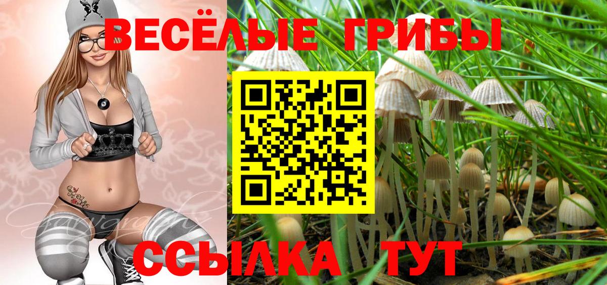 Псилоцибиновые грибы MAGIC MUSHROOMS Каменск-Уральский