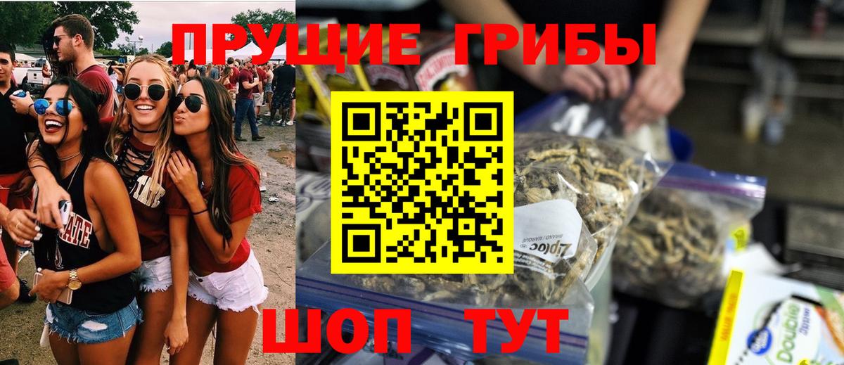 Псилоцибиновые грибы мицелий  Вход с VPN  Каменск-Уральский 